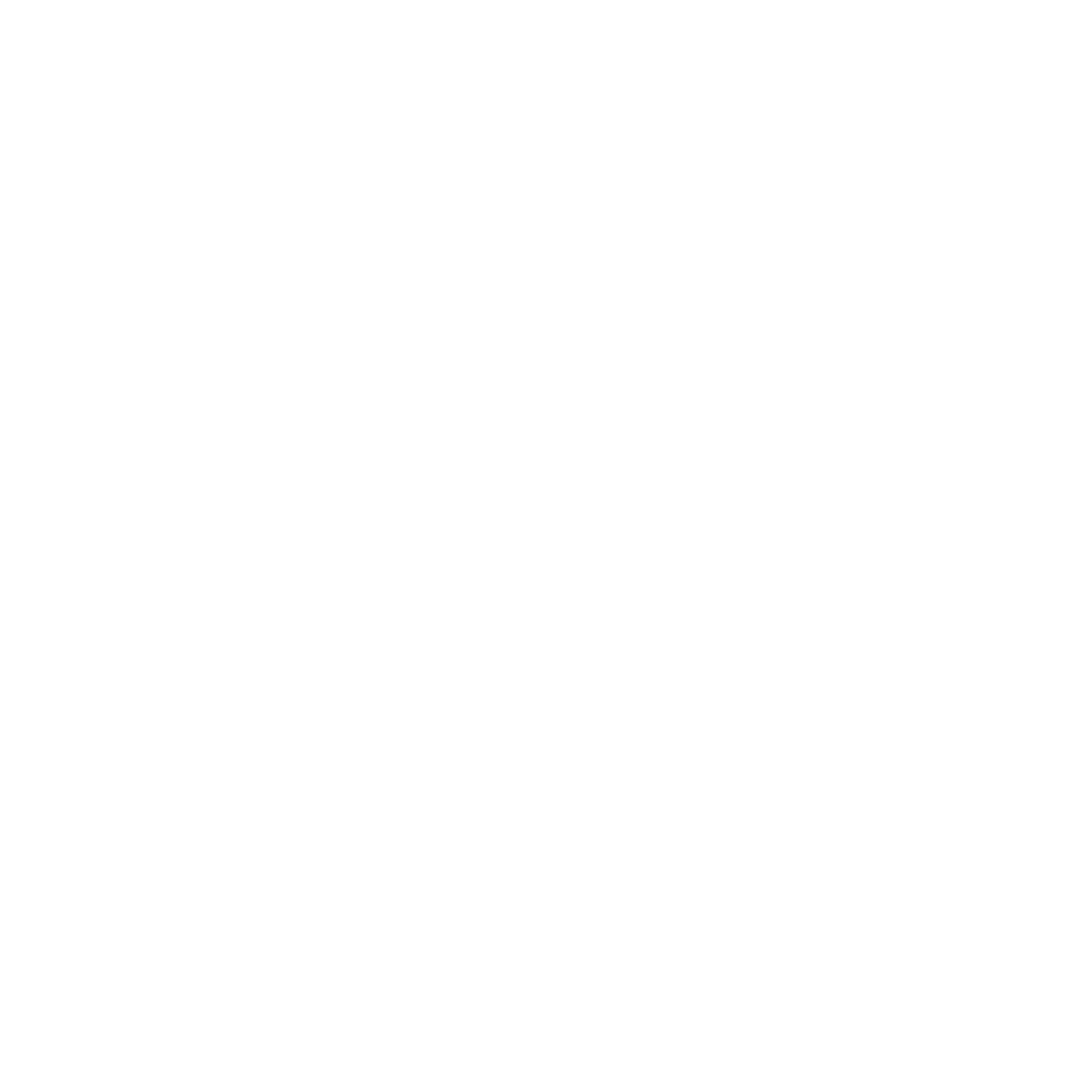 Bicycle Helmet